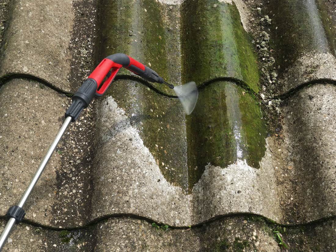 moss removal